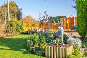 Photo 10- click for photo gallery